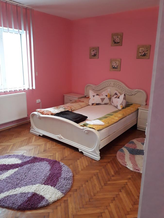 Casa Ade Apartment Calimanesti Exterior photo