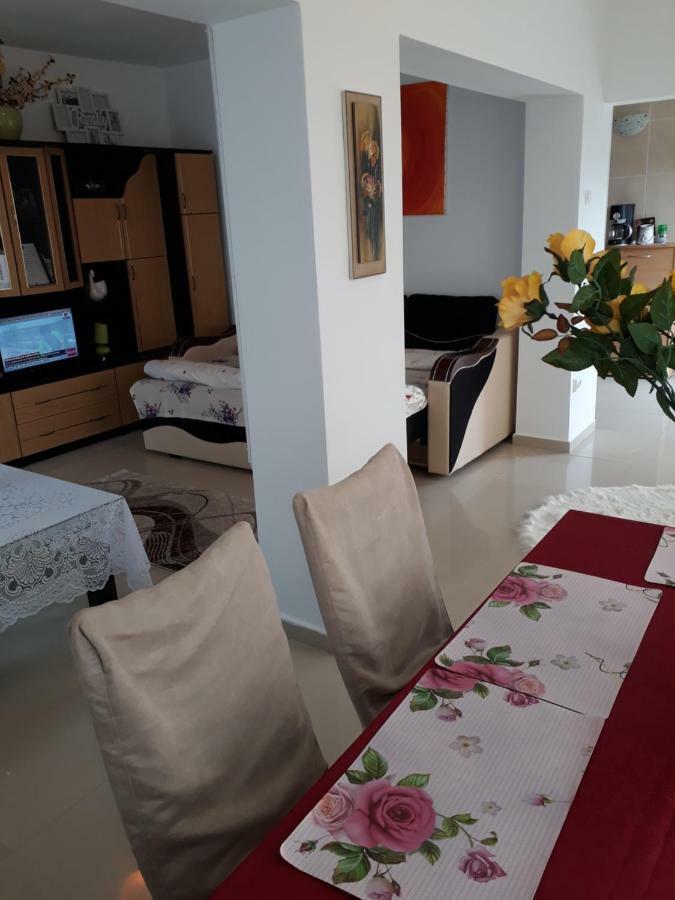 Casa Ade Apartment Calimanesti Exterior photo